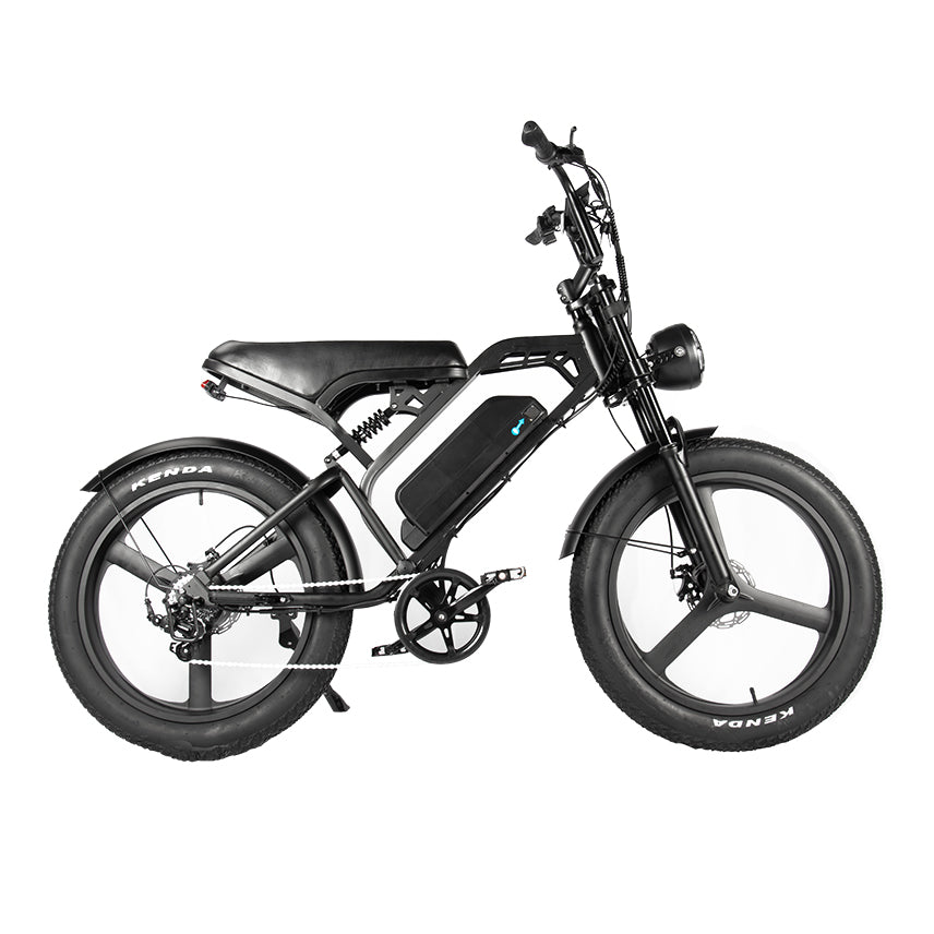 Bicicleta gorda V20 - Incl. asiento trasero + reposapiés + alarma