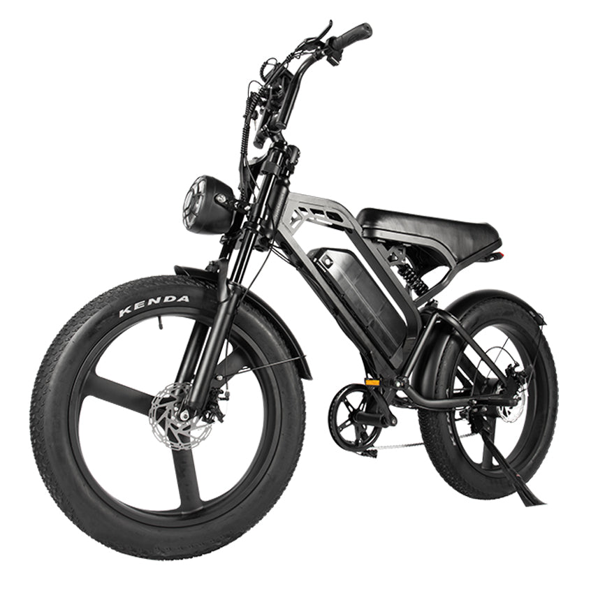 V20 MAX fatbike - Incl. 24-inch banden + voetsteuntjes + alarm